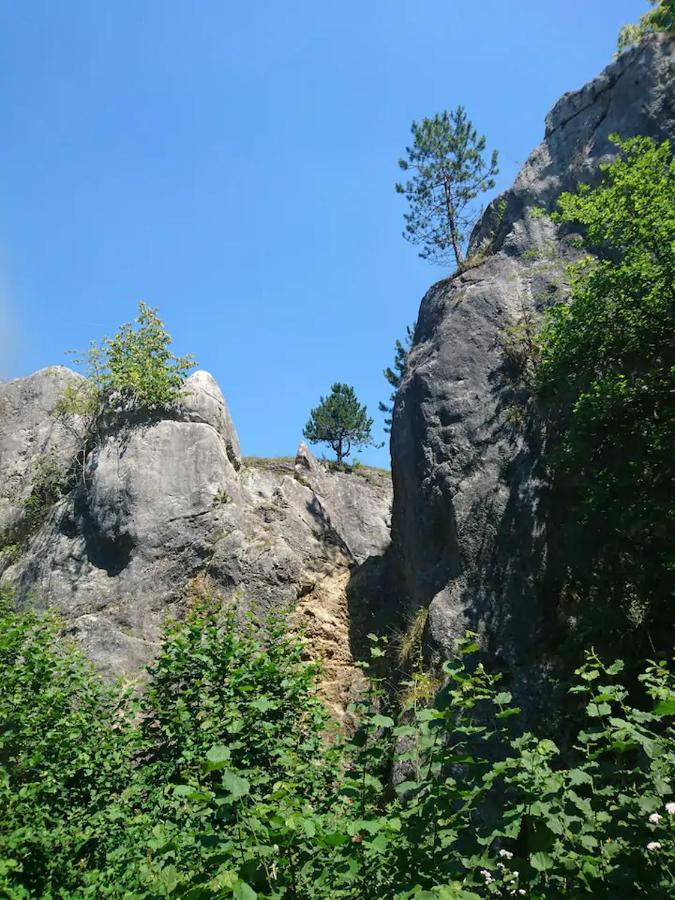 Patchou'S Cabane Βίλα Couvin Εξωτερικό φωτογραφία